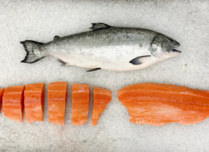 Big Glory Bay King Salmon Portions (Fancy Cut)