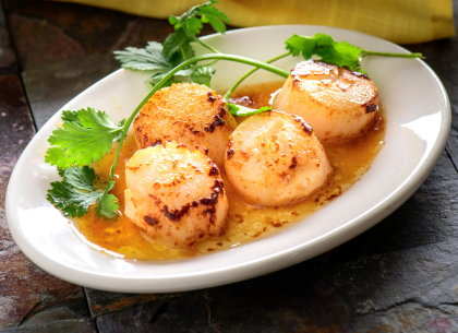 IQF Sea Scallops (Size 10-20)