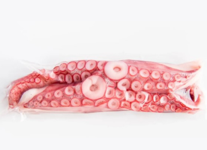 Octopus (Tako)