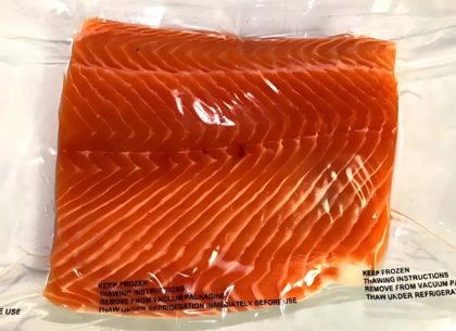 Scottish Salmon Fillets