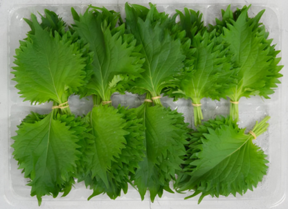 Ohba (Perilla Leaves)