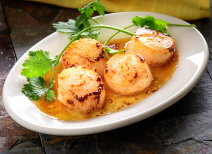 IQF Sea Scallops (Size 10-20)