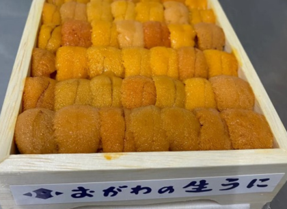 Hokkaido Uni