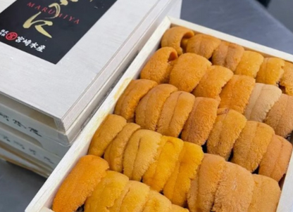 Hokkaido Uni