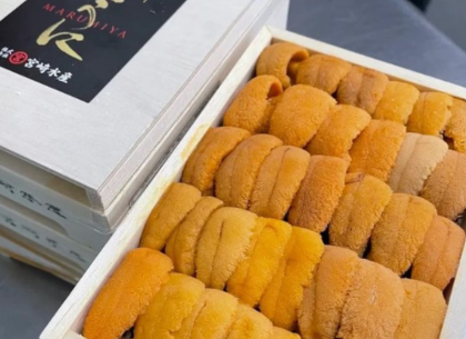 Hokkaido Uni
