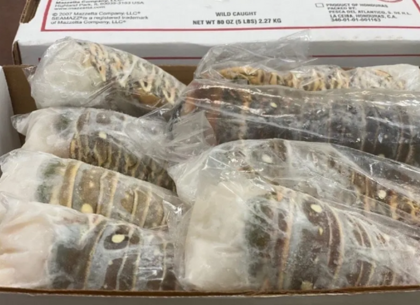 Raw Frozen Lobster Tails (10 lbs)