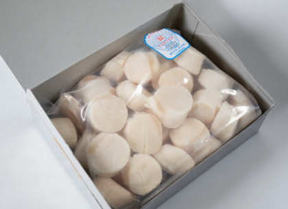 Hokkaido Scallops